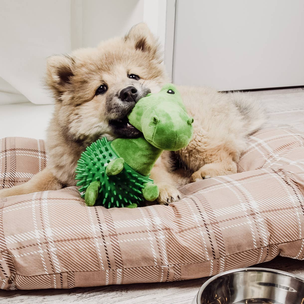 Ne&no® Dog Toy Dino