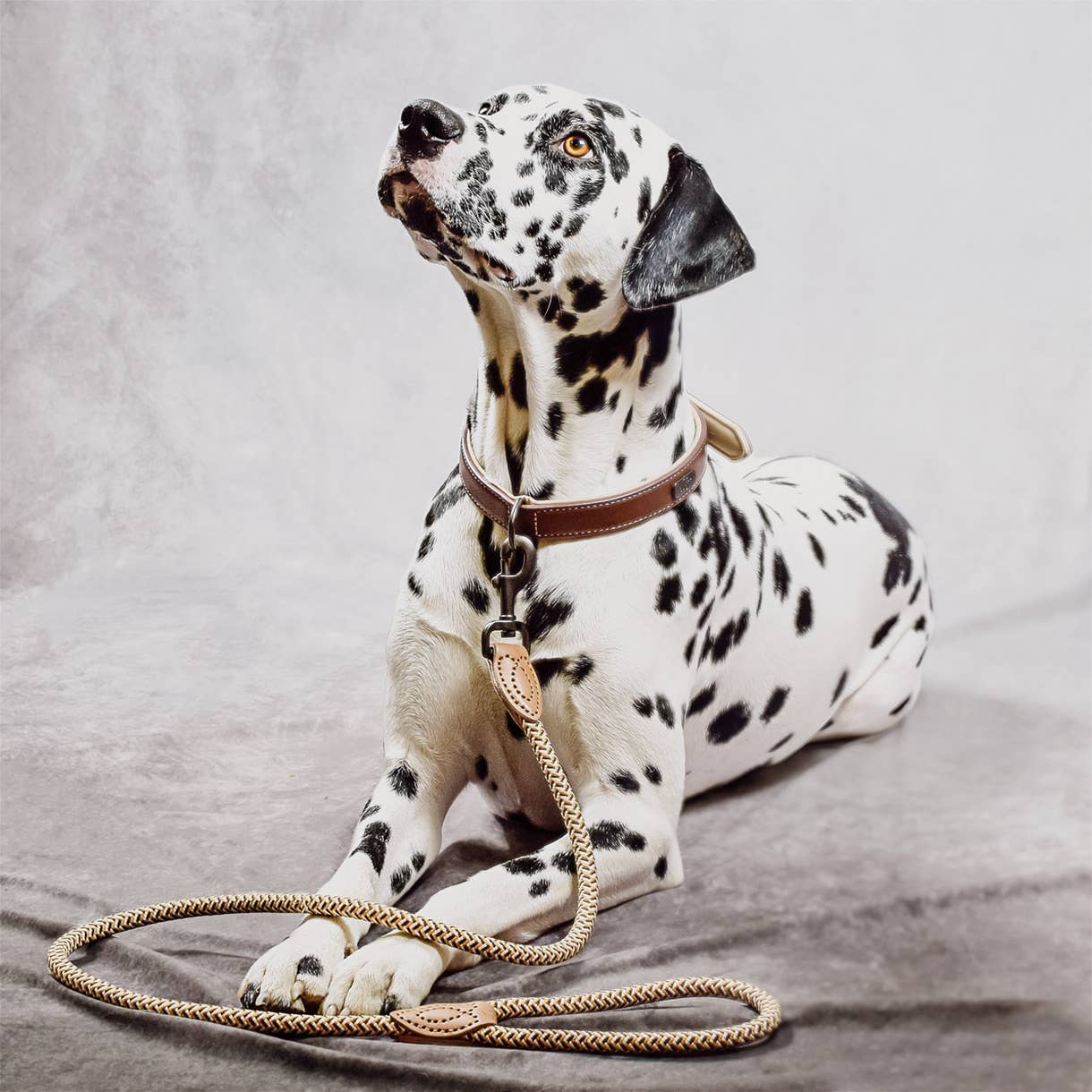 Ne&no® Design City Rope Leash Assorted Colours