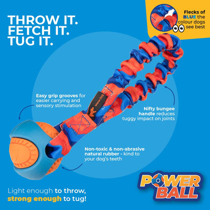 Pocket PowerBall Bungee Tug | Fetch Dog Toys