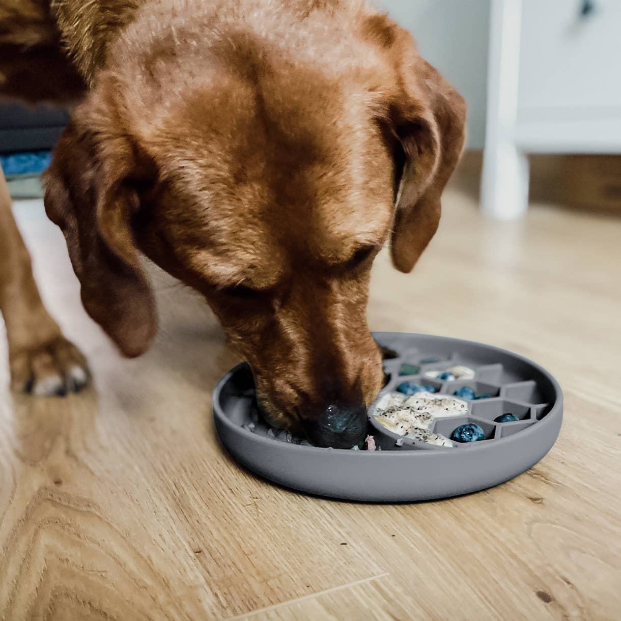 Ne&no® Anti-Gulping Bowl / Licking Dish