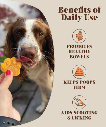 Pumpkin Powder For Dogs