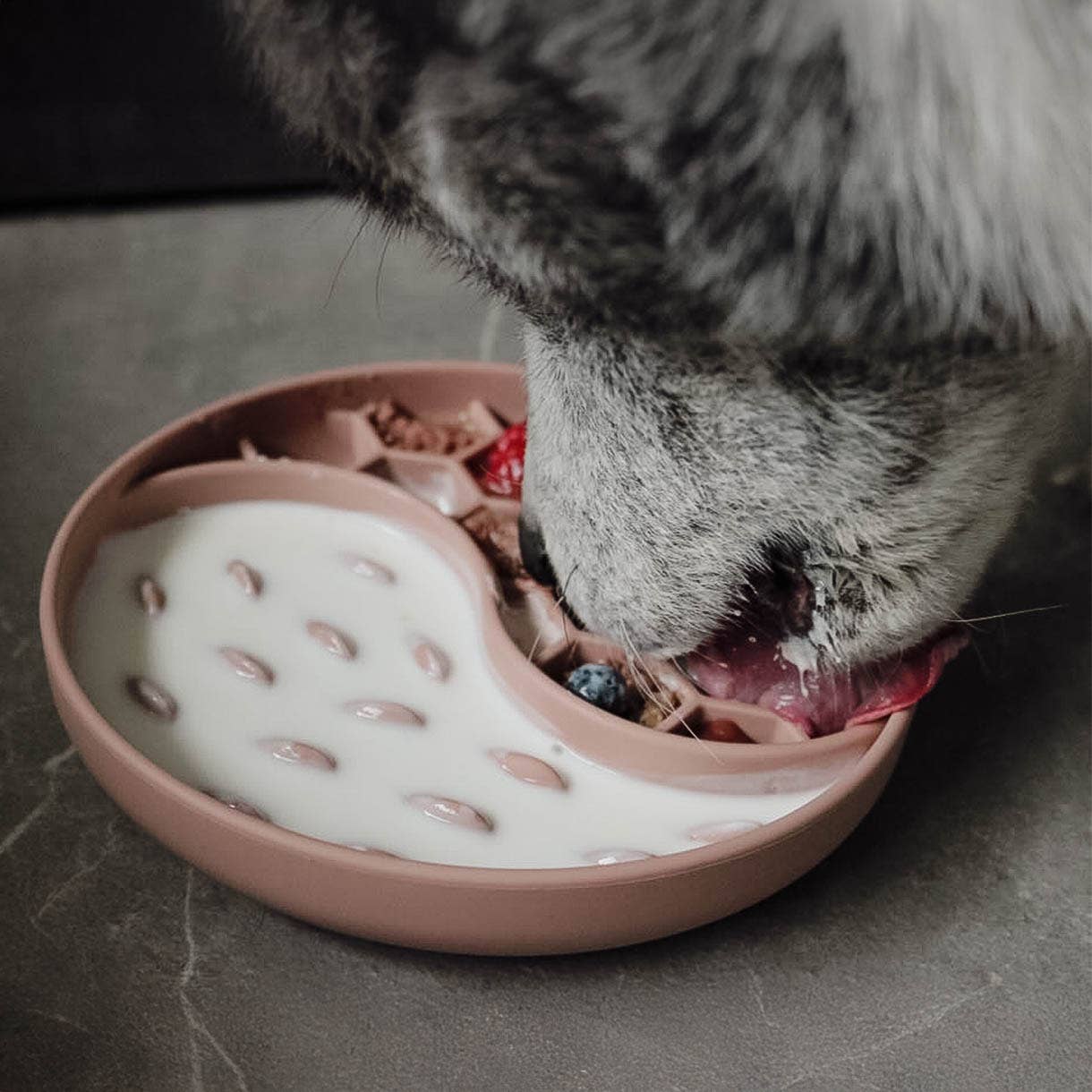 Ne&no® Anti-Gulping Bowl / Licking Dish