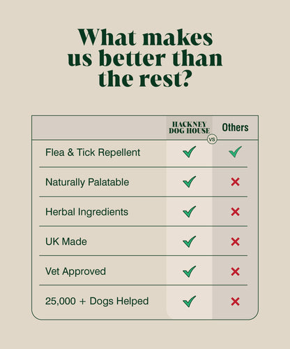 Natural Flea and Tick Powder for Dogs | Herbal Repellent