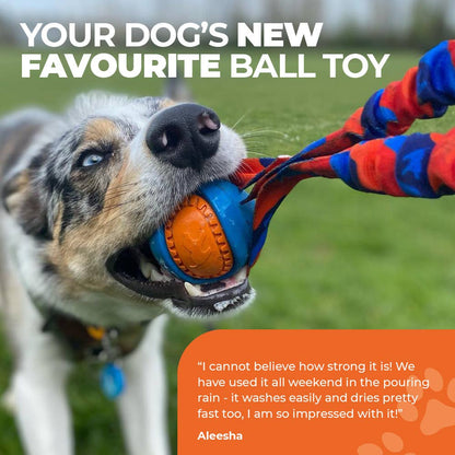 Pocket PowerBall Bungee Tug | Fetch Dog Toys