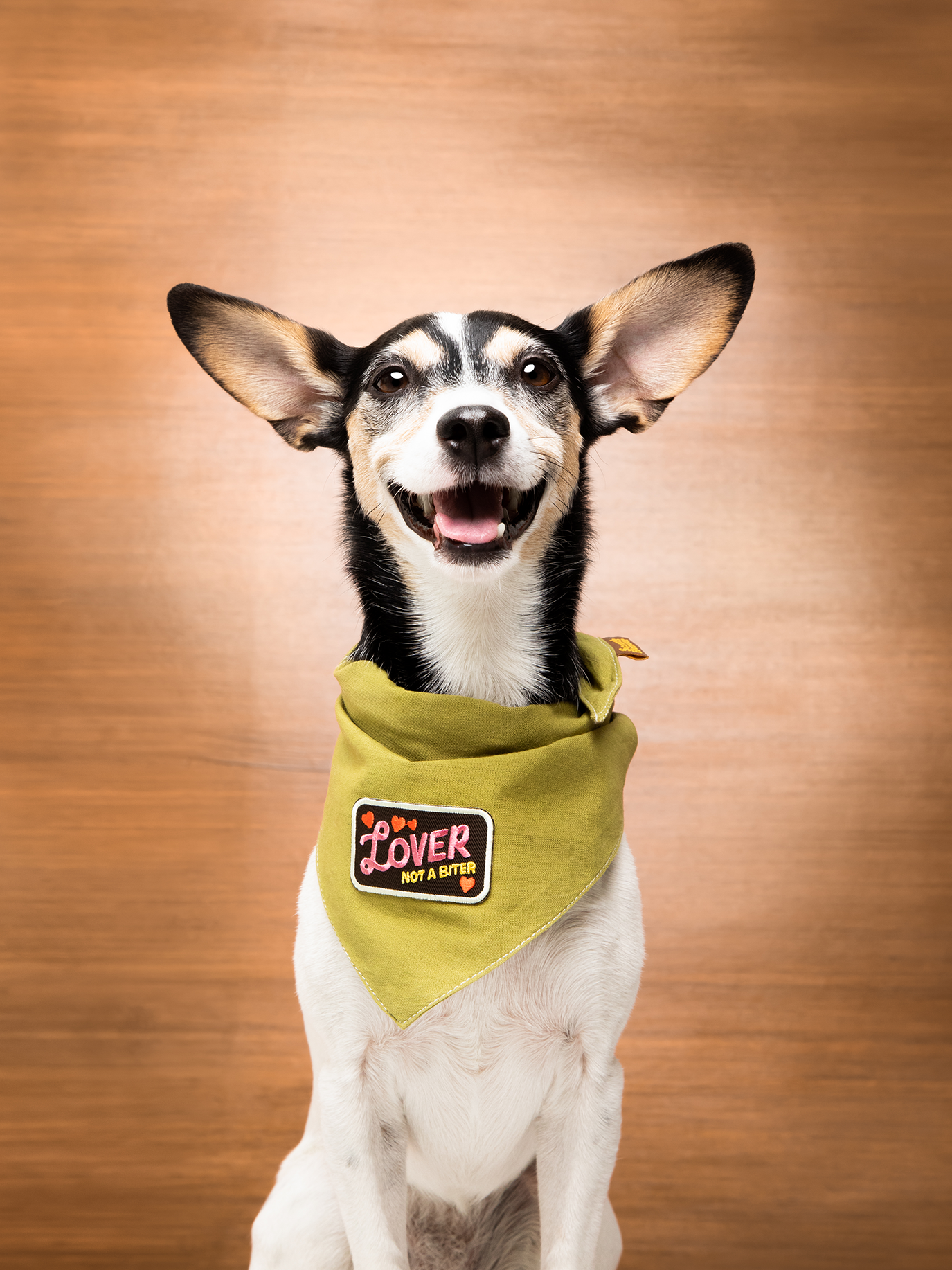 Lover not a Biter iron-on patch