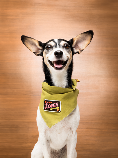 Lover not a Biter iron-on patch