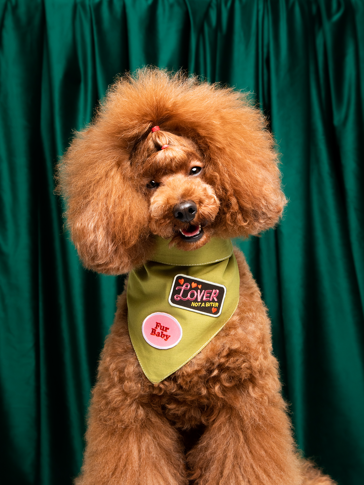 Lover not a Biter iron-on patch