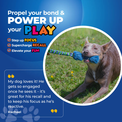 Bright Fauxtastic | Tough Dog Toy