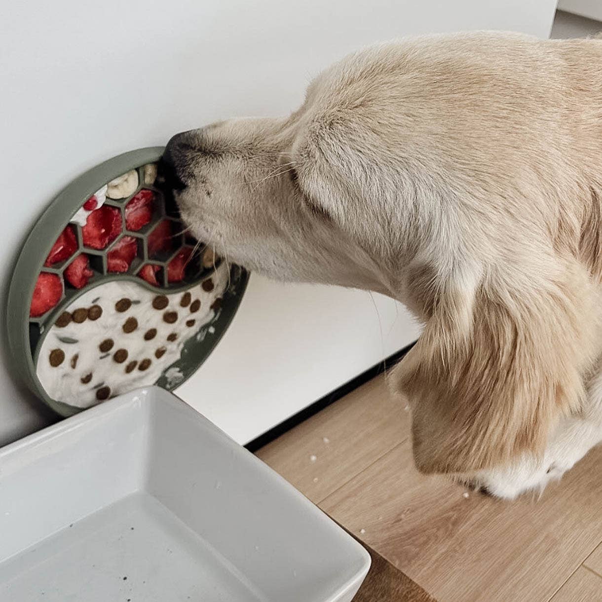 Ne&no® Anti-Gulping Bowl / Licking Dish