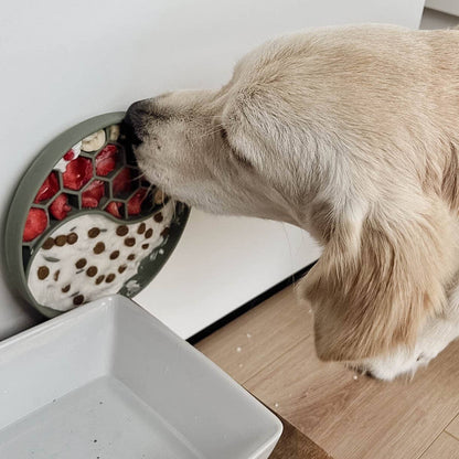 Ne&no® Anti-Gulping Bowl / Licking Dish