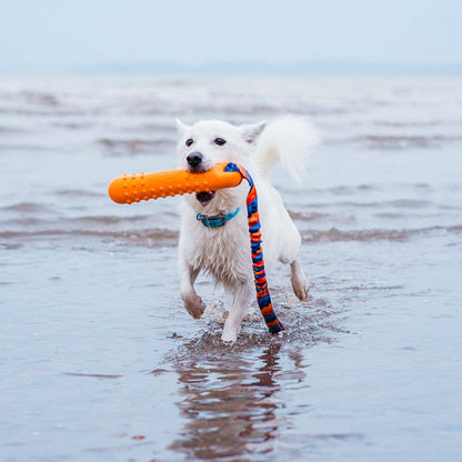 BOB: The 3-in-1 Dummy | Fetch, tug, & float