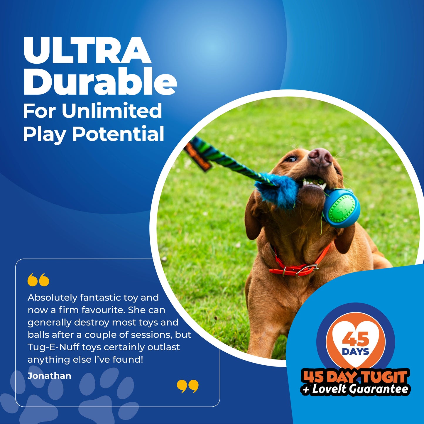 Fauxtastic PowerBall Bungee