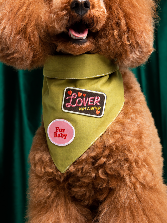 Lover not a Biter iron-on patch