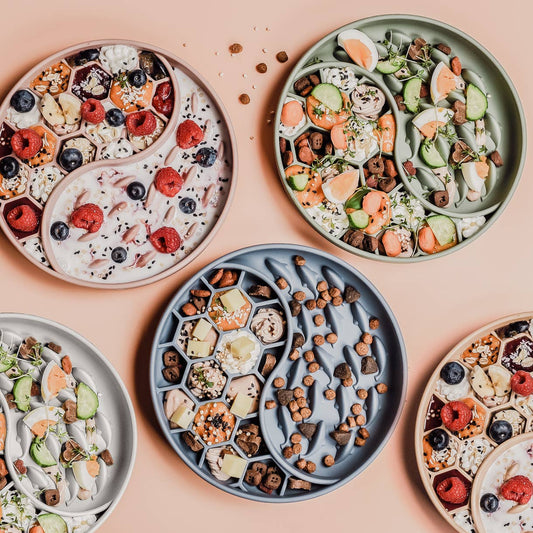 Ne&no® Anti-Gulping Bowl / Licking Dish