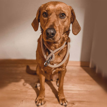 Ne&no® Design City Rope Leash Assorted Colours