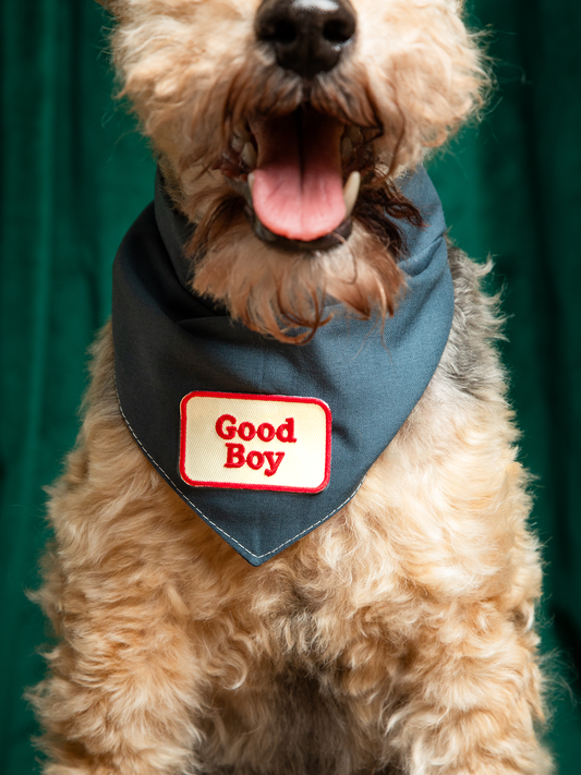 Good Boy iron-on patch