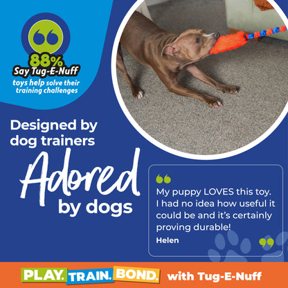 Bright Fauxtastic | Tough Dog Toy