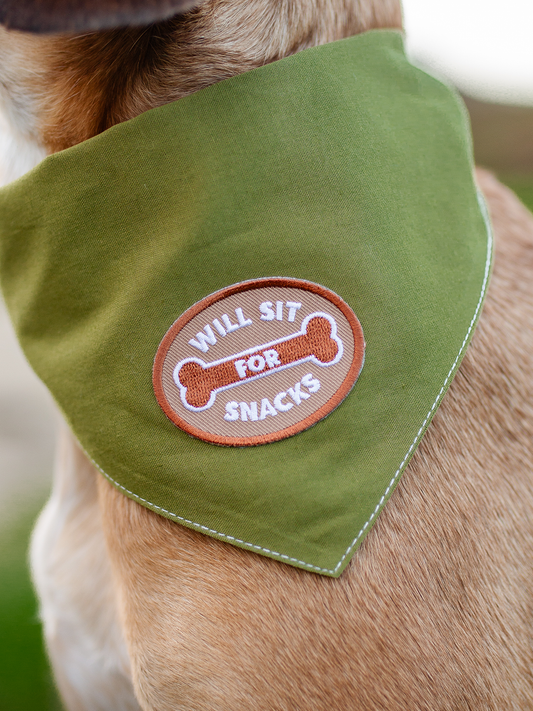 Will Sit For Snacks iron-on patch