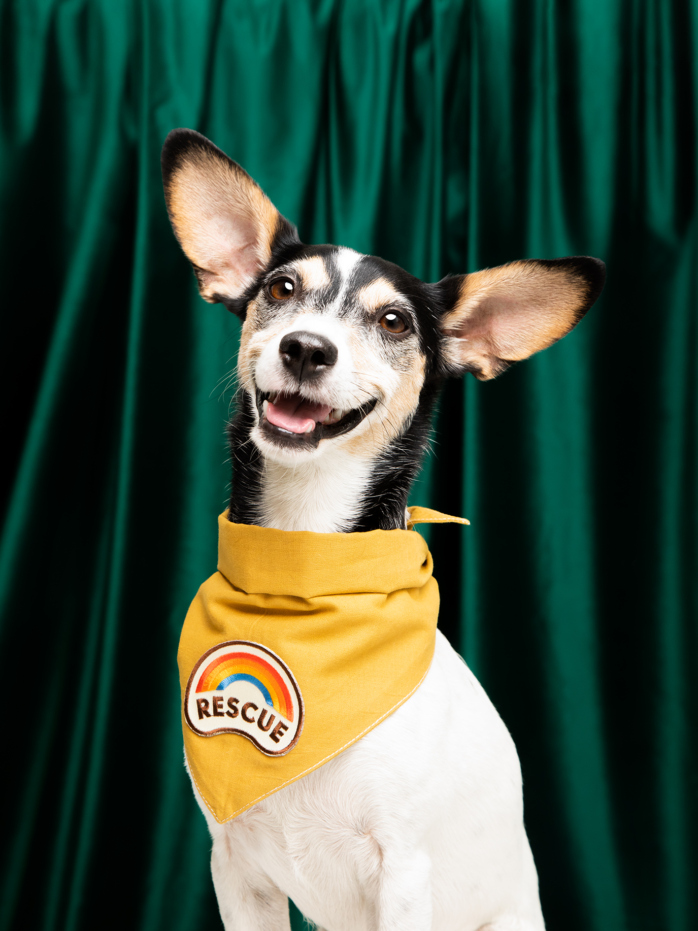 Rescue iron-on patch