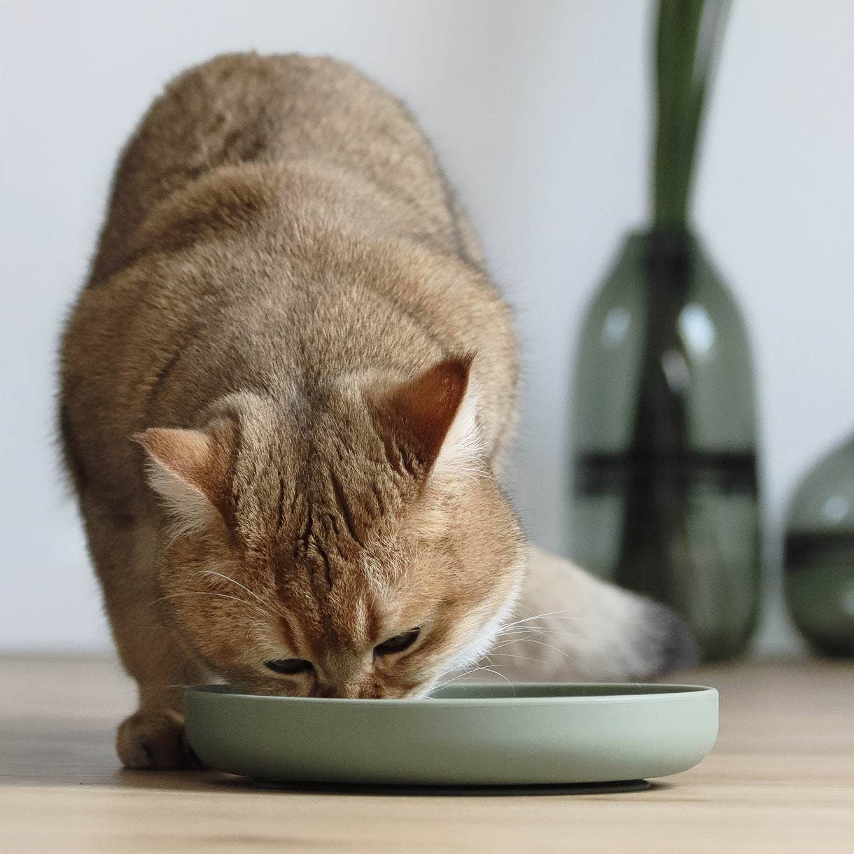 Ne&no® Anti-Gulping Bowl / Licking Dish