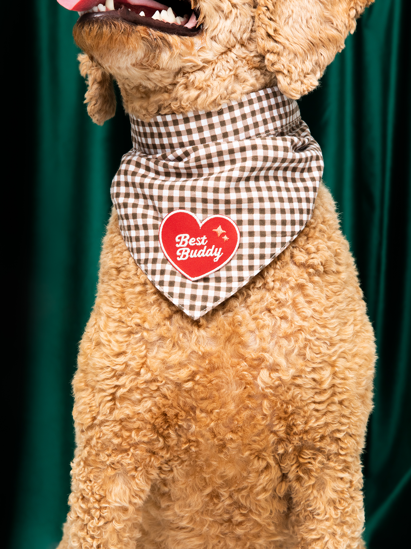 Best Buddy iron-on patch