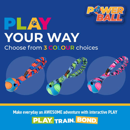 Pocket PowerBall Bungee Tug | Fetch Dog Toys