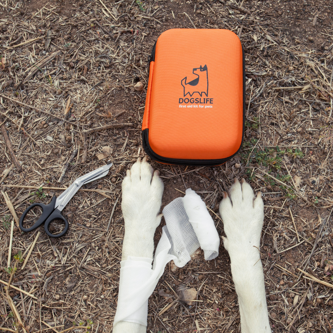 Dog First Aid Kit