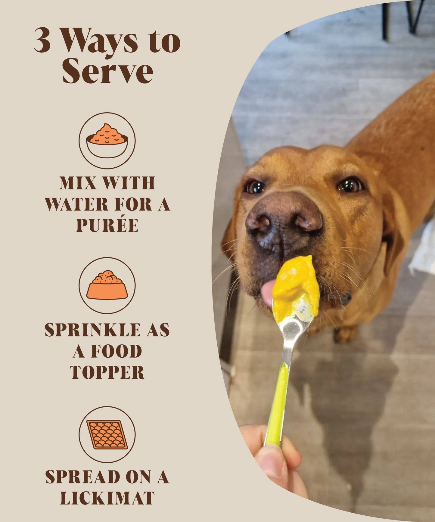Pumpkin Powder For Dogs