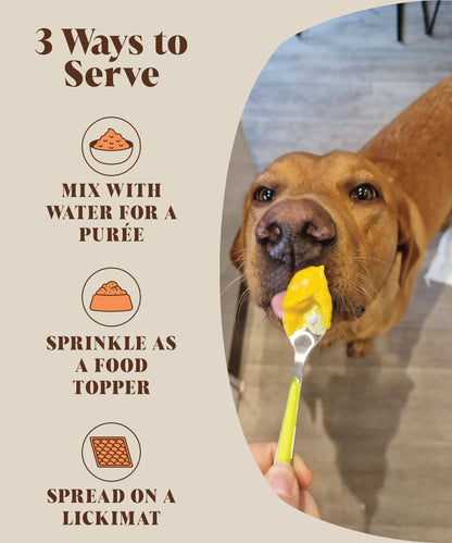 Pumpkin Powder For Dogs