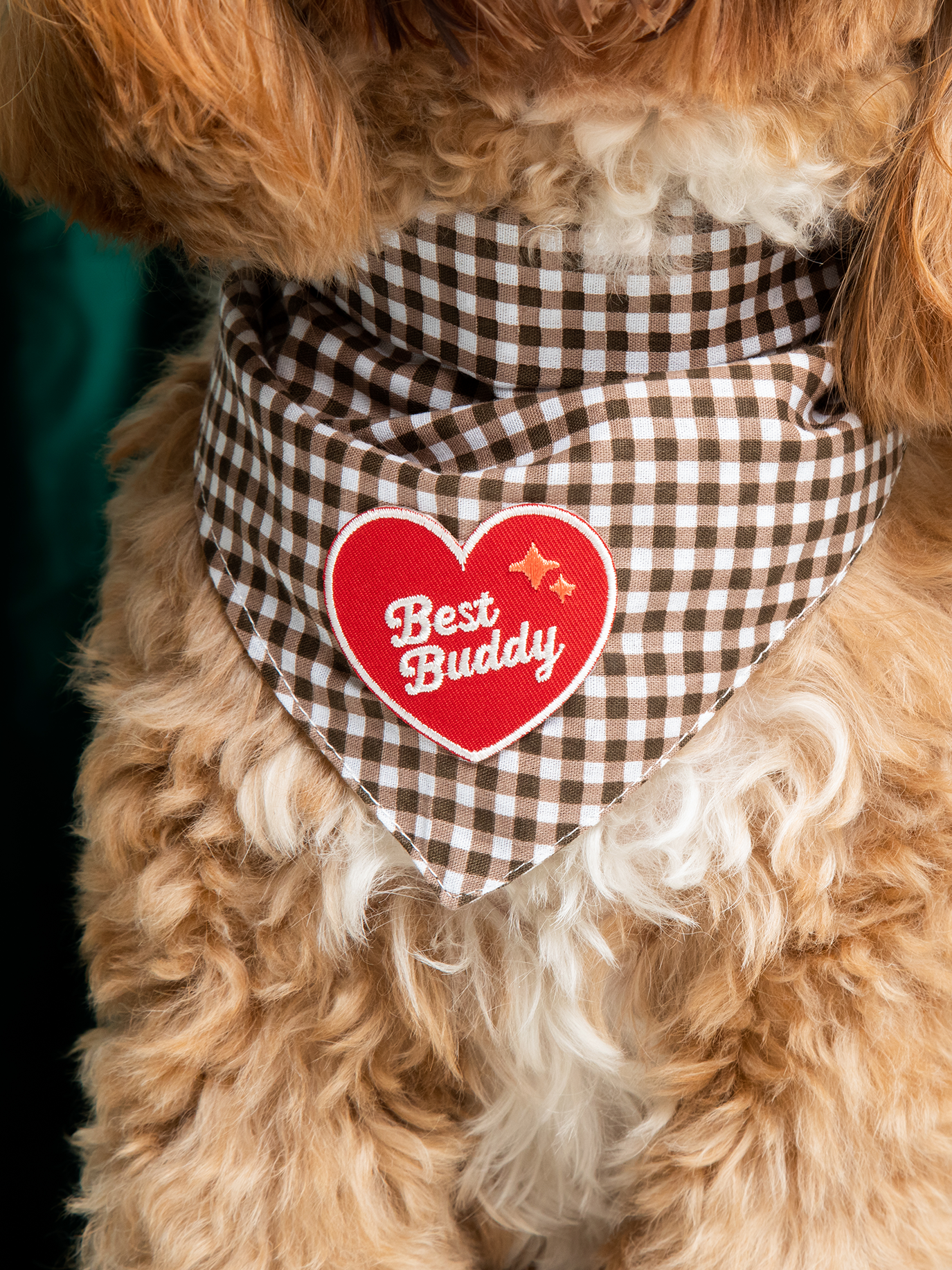 Best Buddy iron-on patch